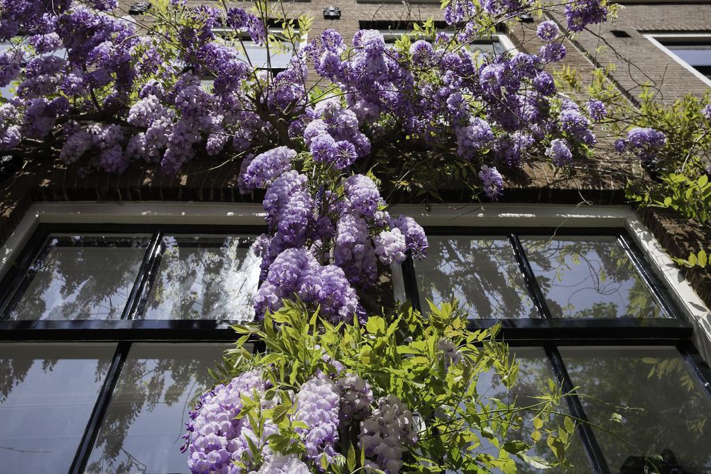 B&B Bloemgracht * Amsterdam