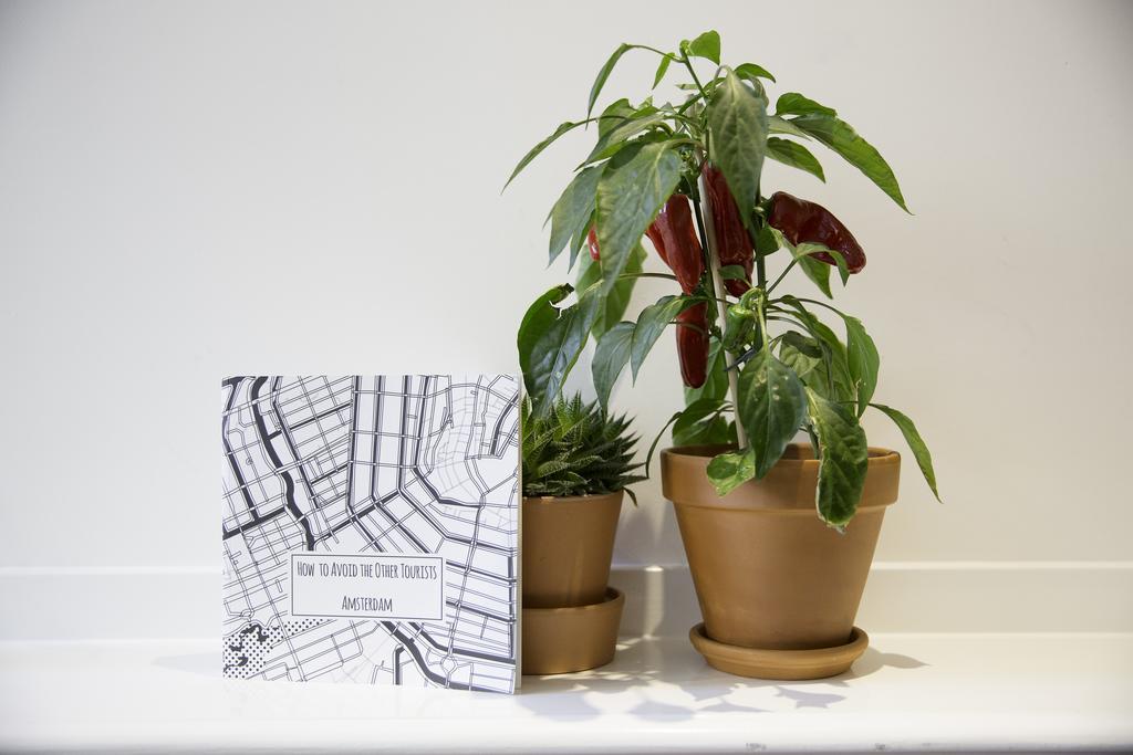 B&B Bloemgracht Bed & Breakfast *