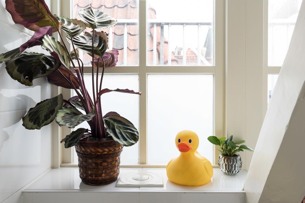 Homestay Rembrandt Studio's Amsterdam