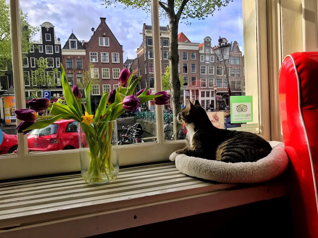 Tulip Of Bed & Breakfast