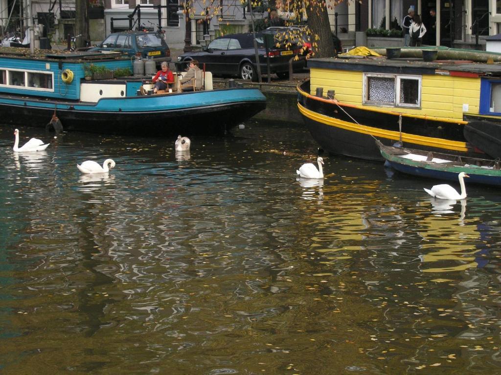 Singel 100 Bed & Breakfast *