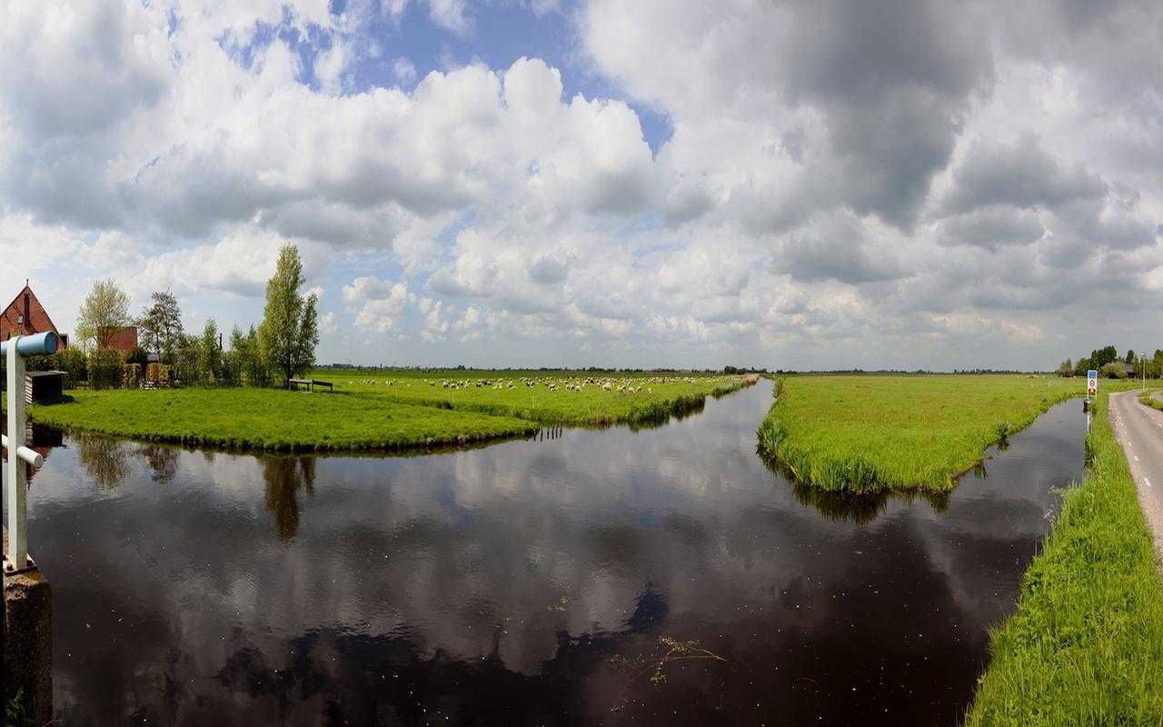 Farmland Amsterdam