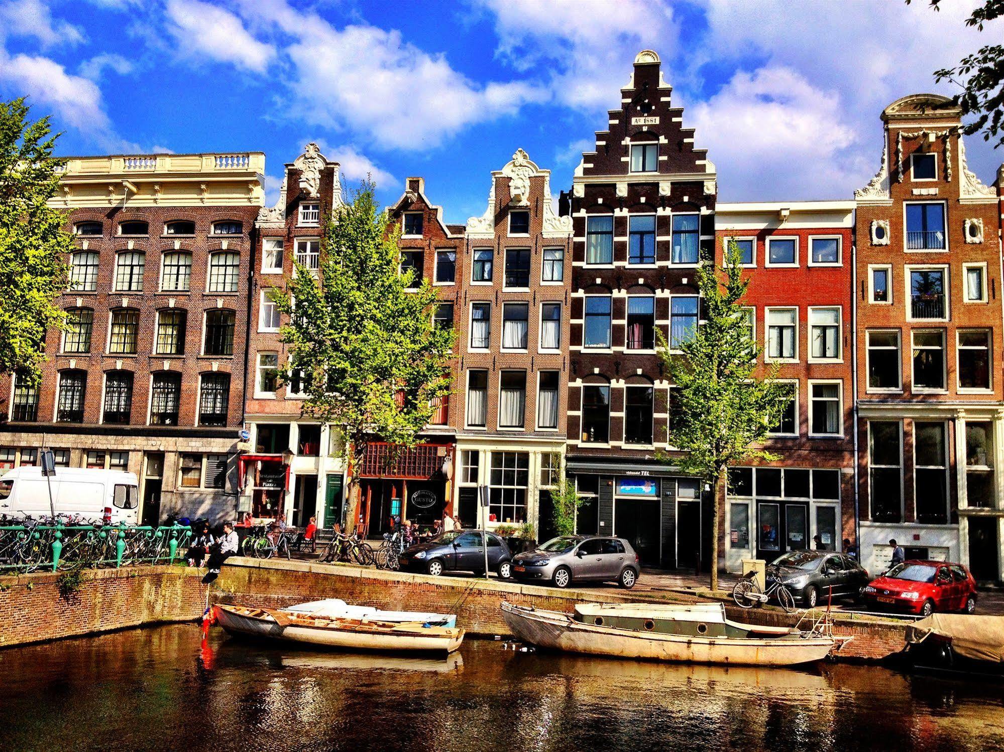 Tulip Of Amsterdam