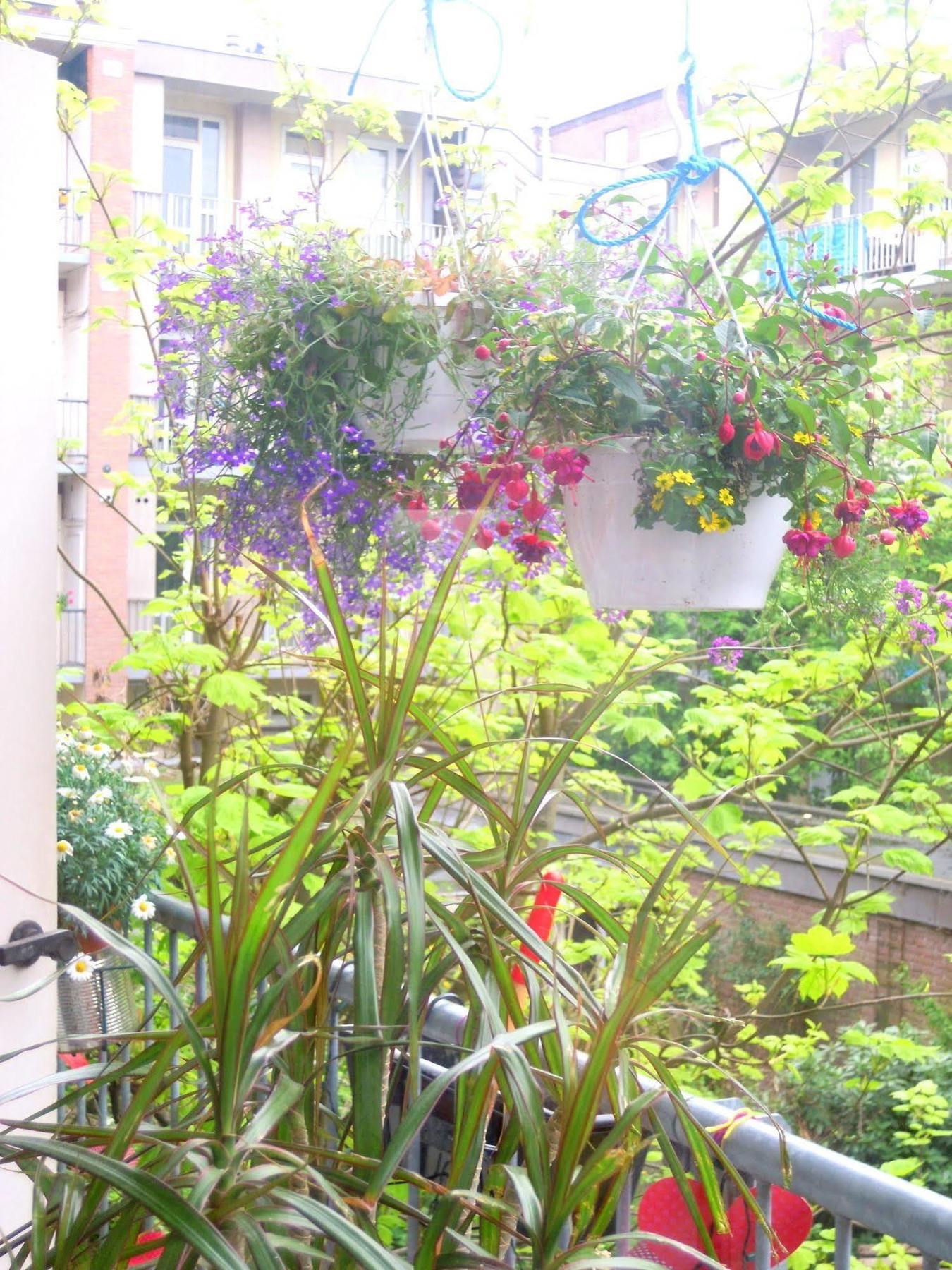Bed & Breakfast Missortelia Amsterdam