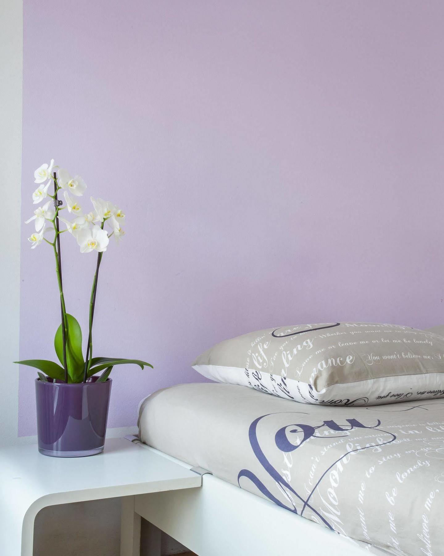 Kuwadro Centrum Bed & Breakfast Amsterdam