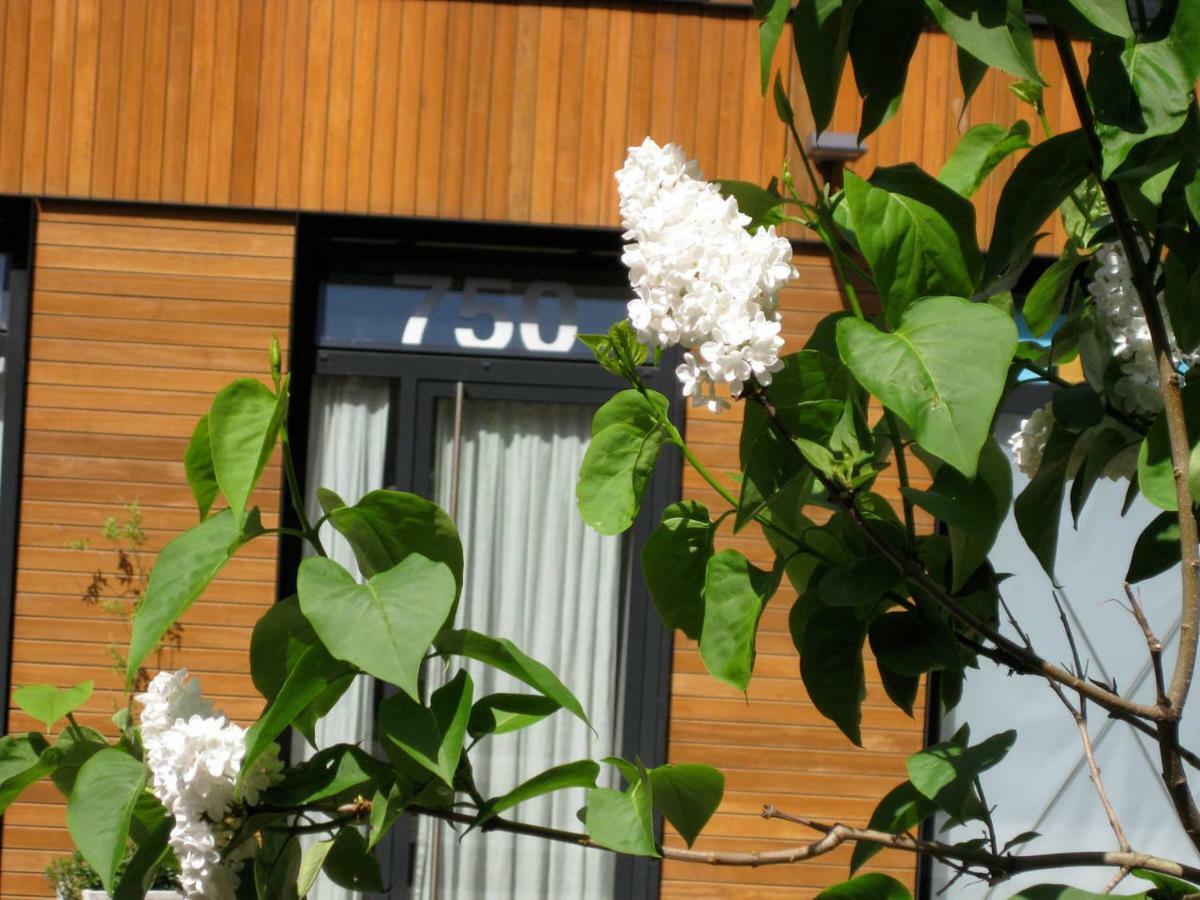 Studio-apartment In City-center Appartement *