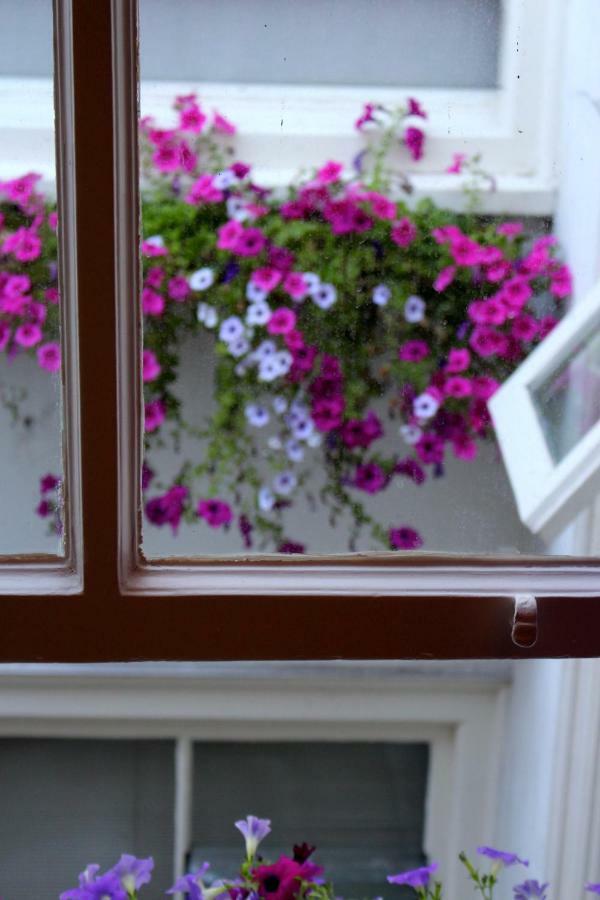 Bees Bed & Breakfast Amsterdam