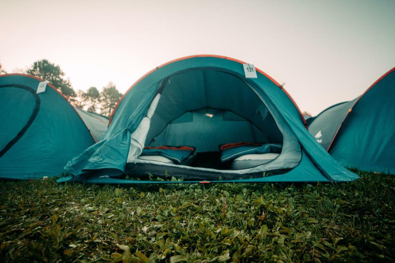 Campingplatz The Esn Kingsday