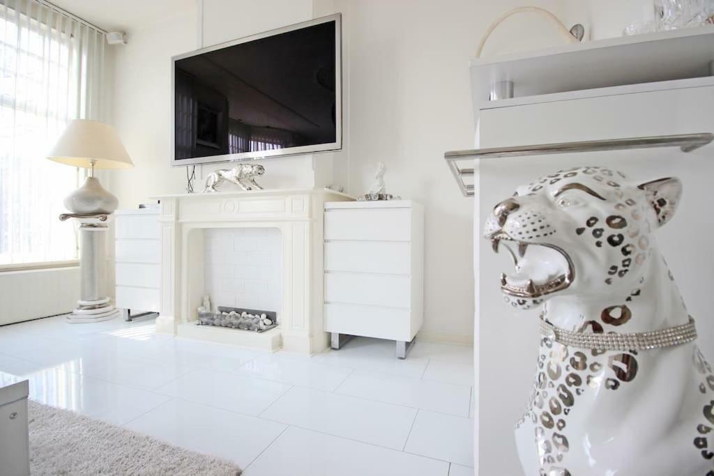 Apartment White Luxury Penthouse In Centre