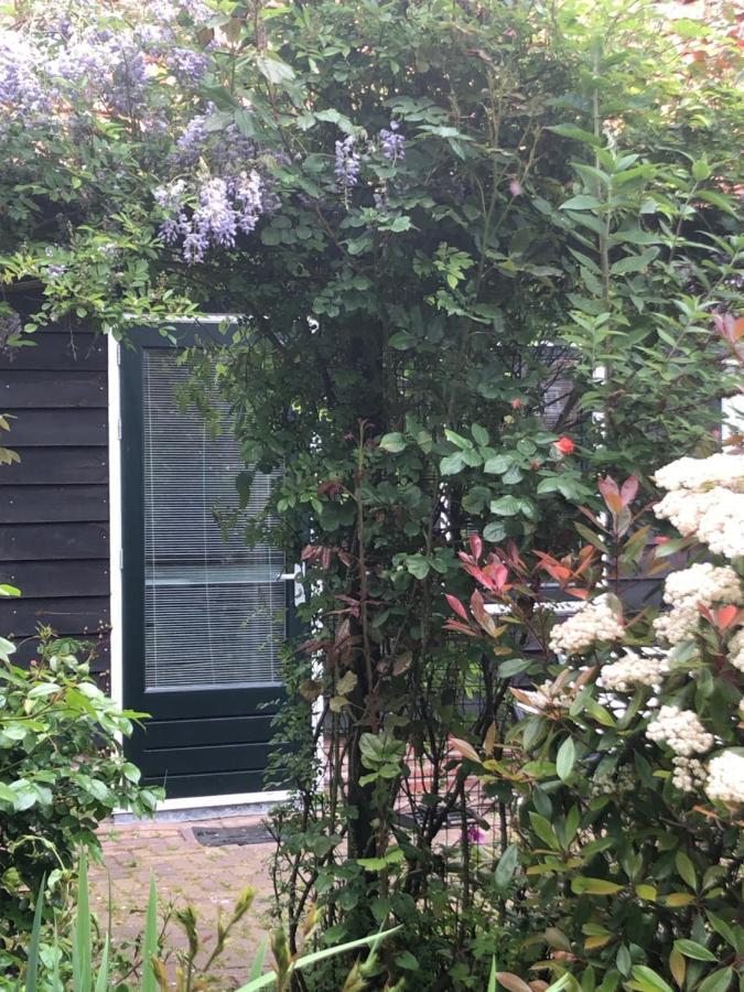 Bed & Breakfast Bloom Amsterdam