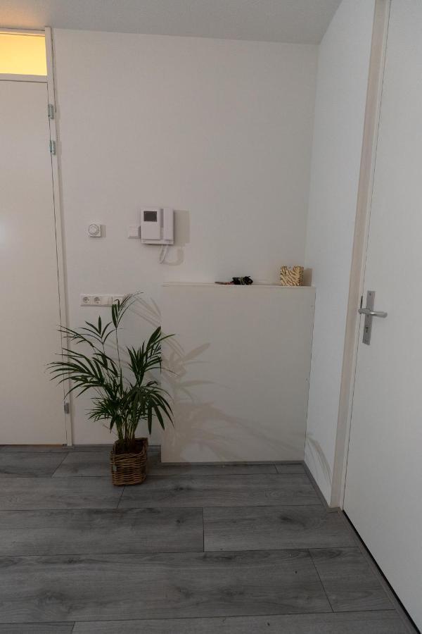 Greenstay Apartment *