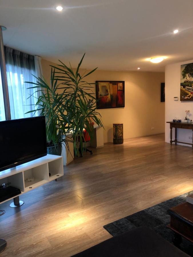 Lounge Park Appartement *