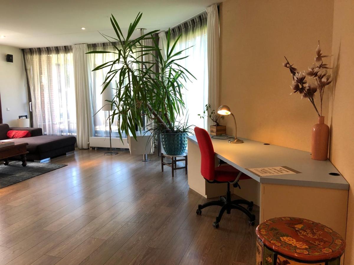 Appartement Lounge Park