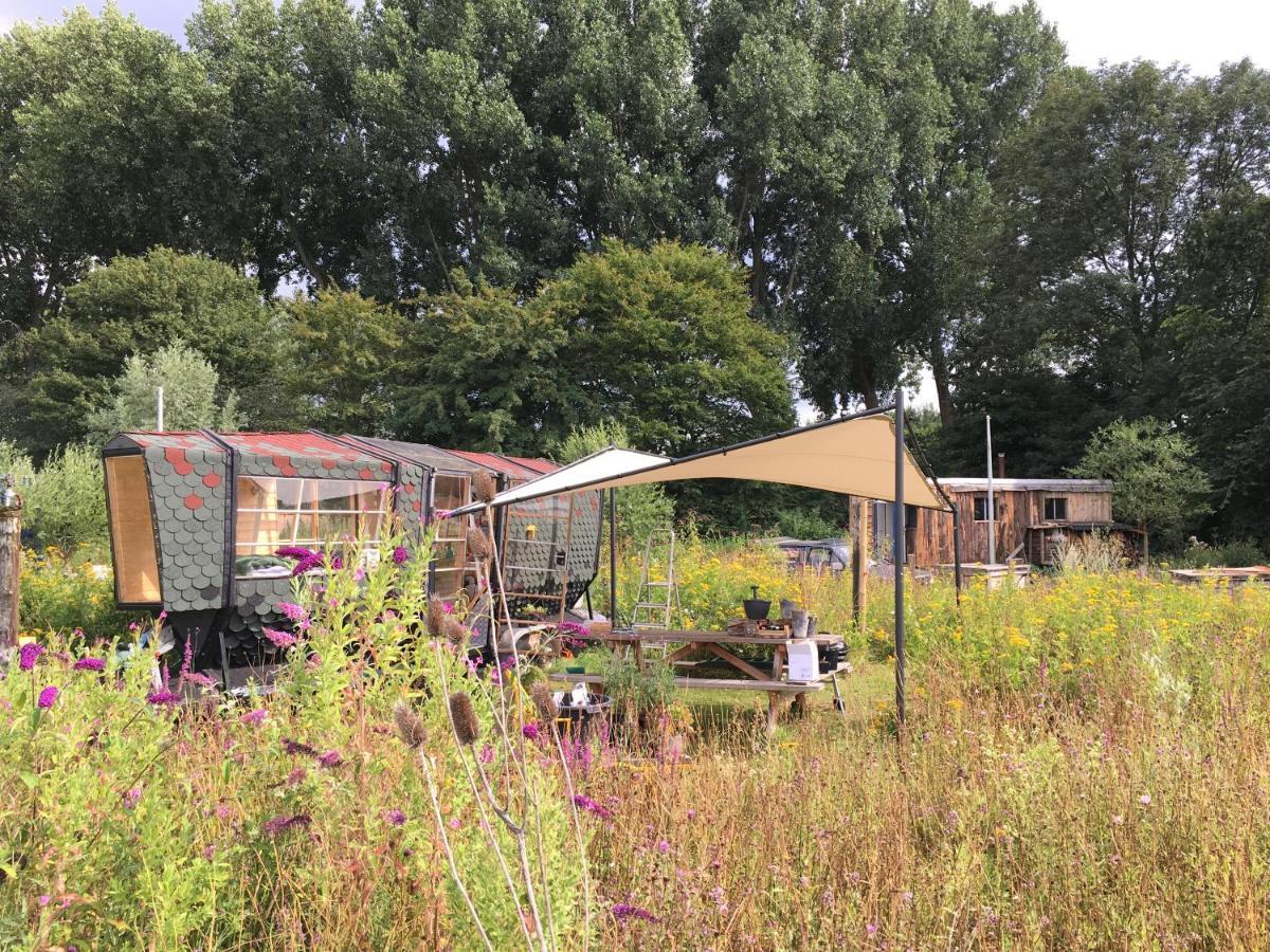 Farm Aparthotel *