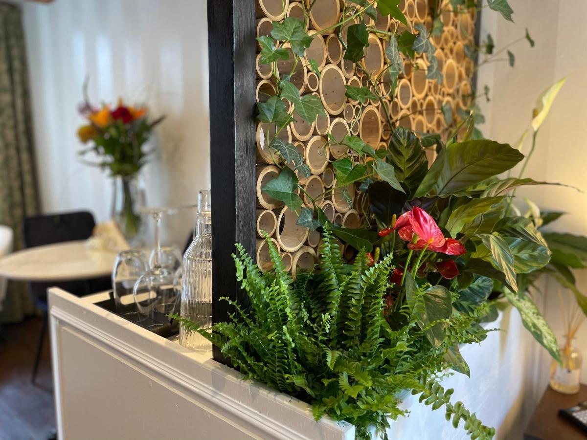 Bed & Breakfast Luxury Suites The Enlightened House