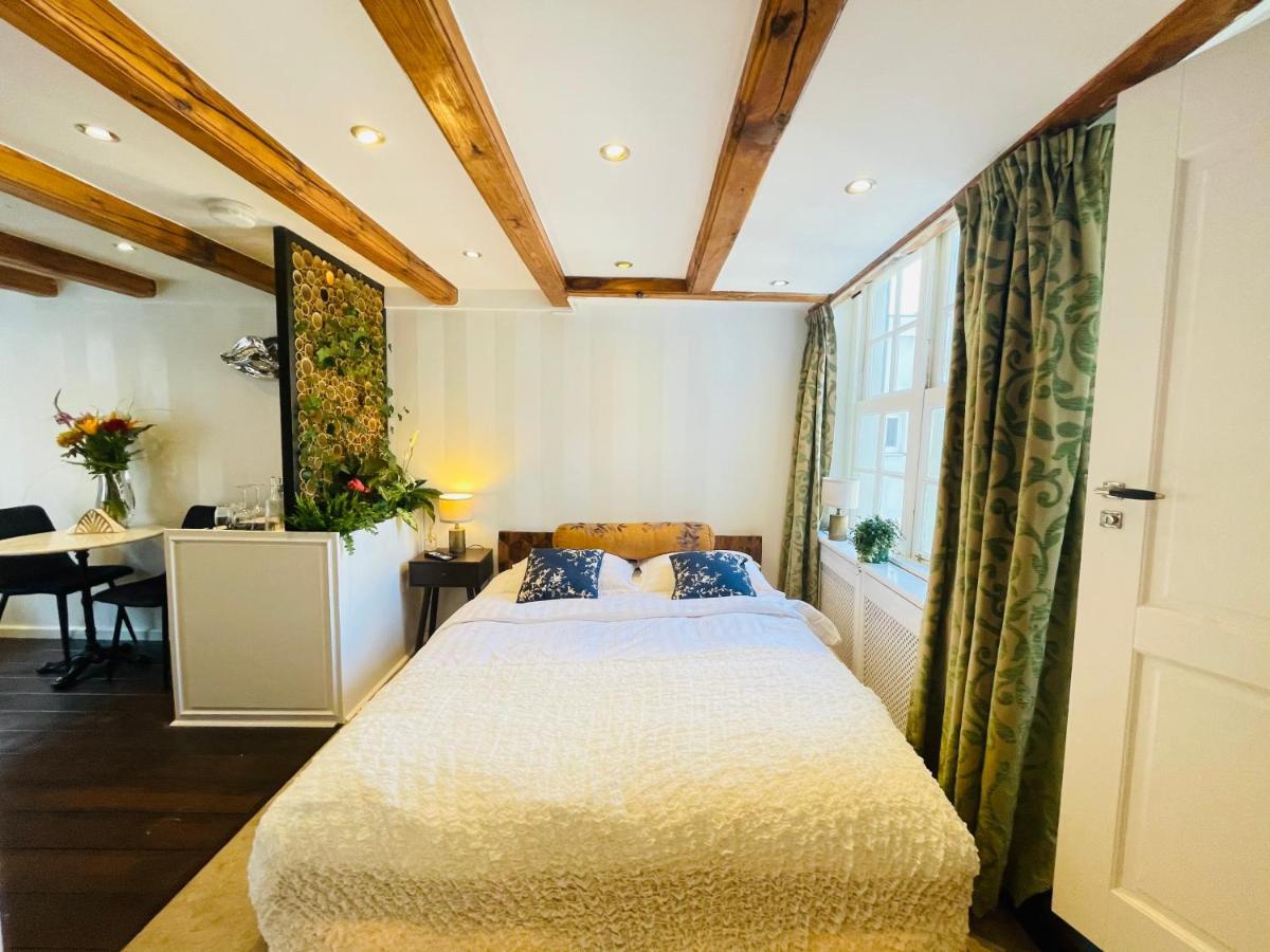 Luxury Suites The Enlightened House Bed & Breakfast