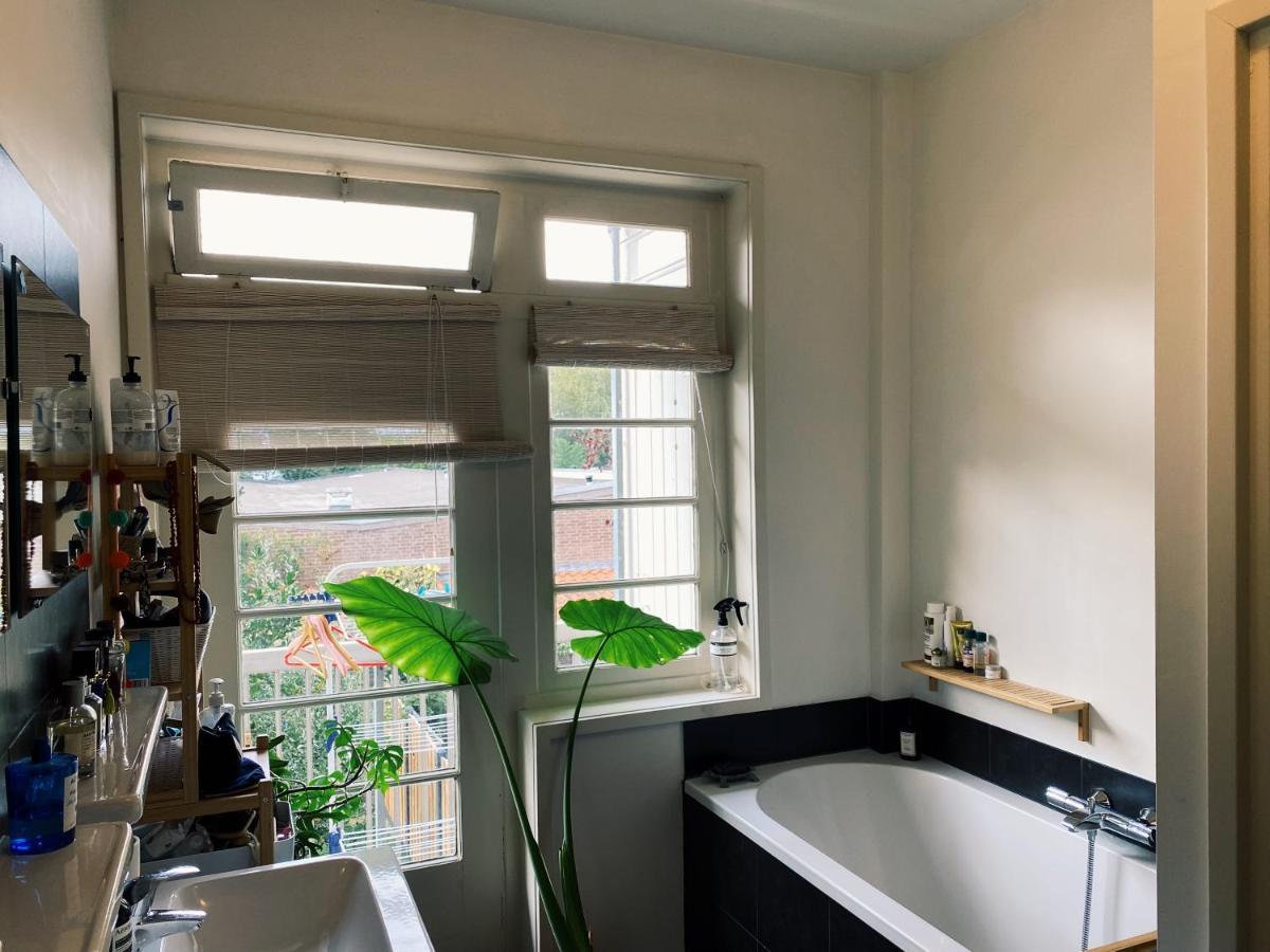 Apartment Lovely & Spacious In 'old-south' Area