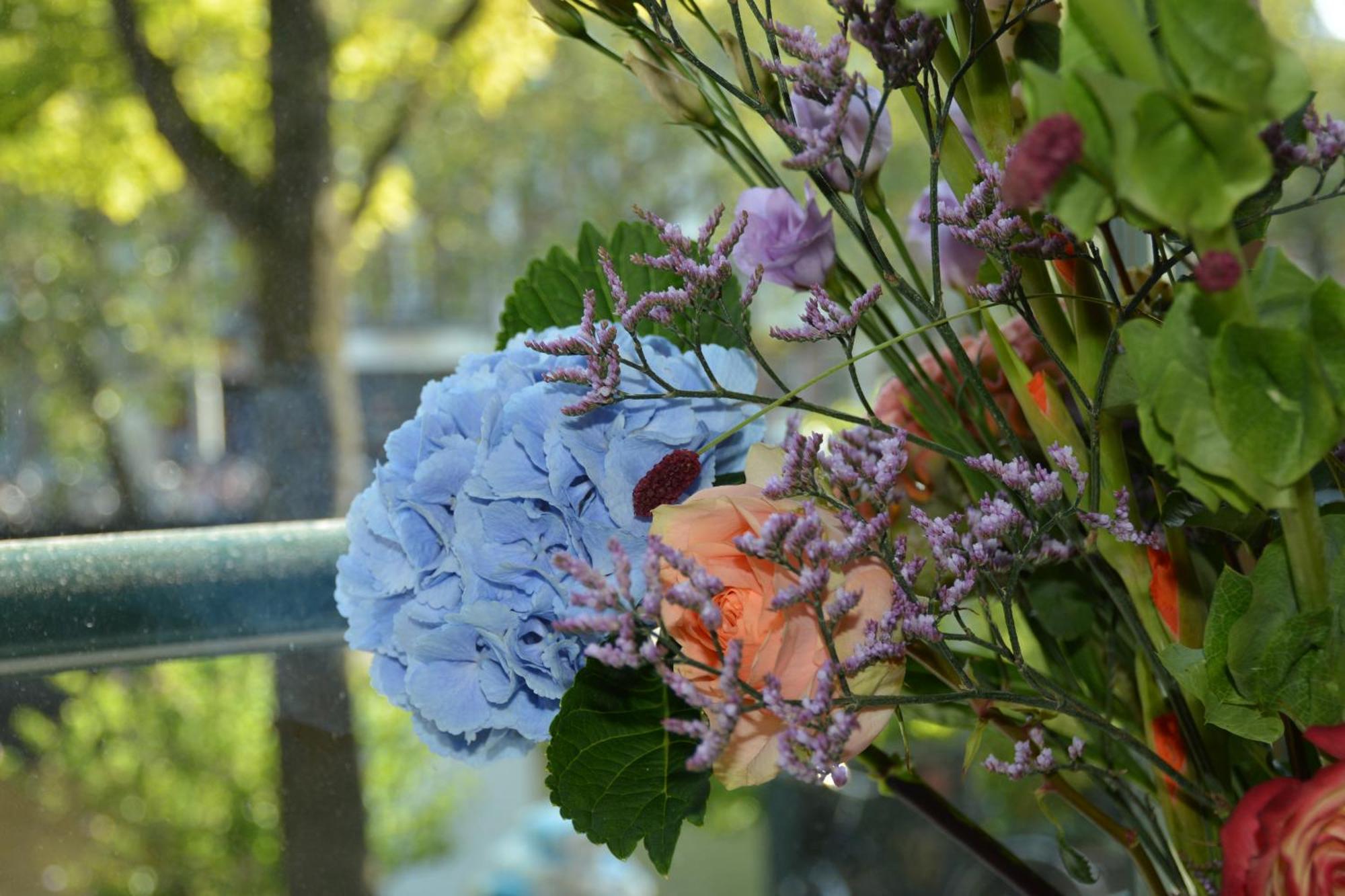 Hotel The If Boutique Amsterdam