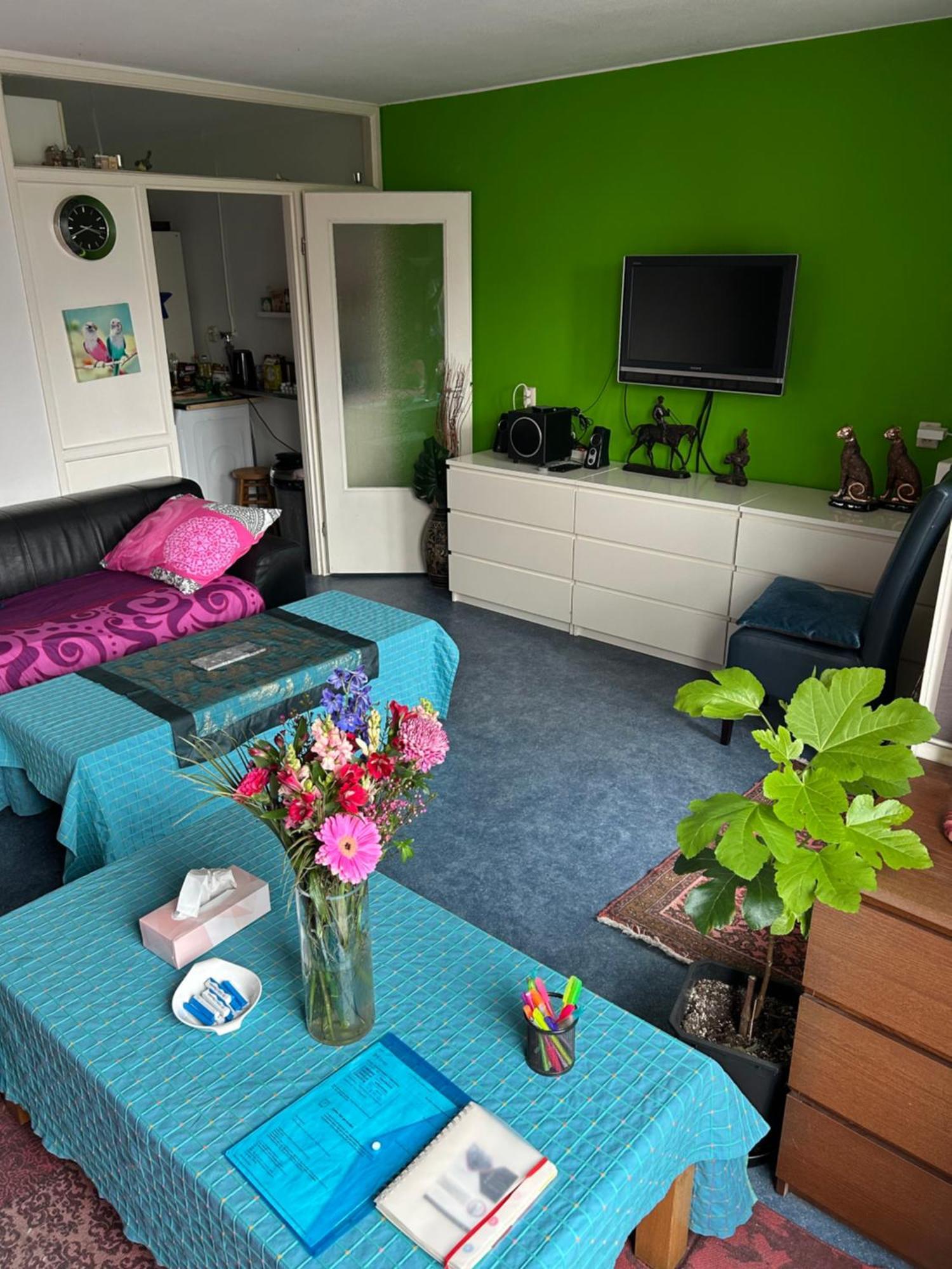 Calypso Bed & Breakfast