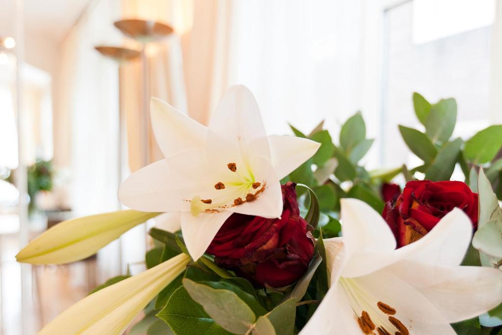 La Vie En Rose Centre Bed & Breakfast