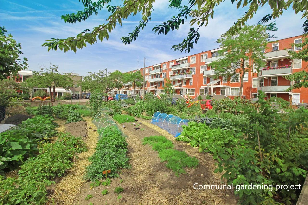 New Monumental Garden View