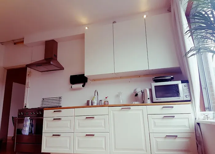 Entire Apartment In Amsterdam