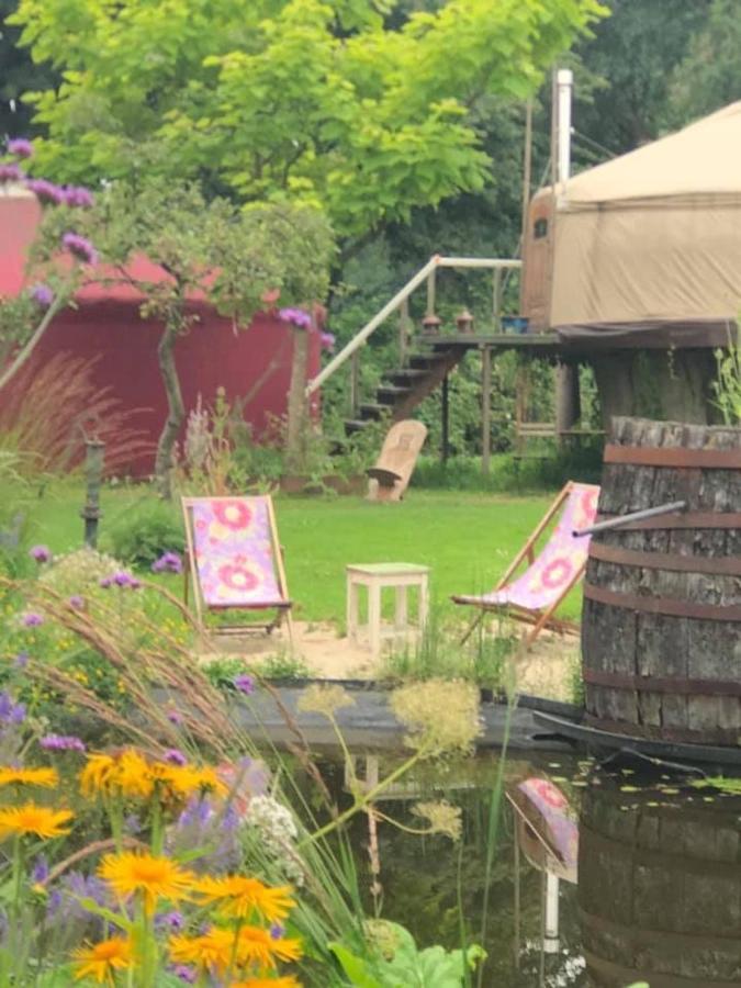 Reijgershof Bed & Breakfast