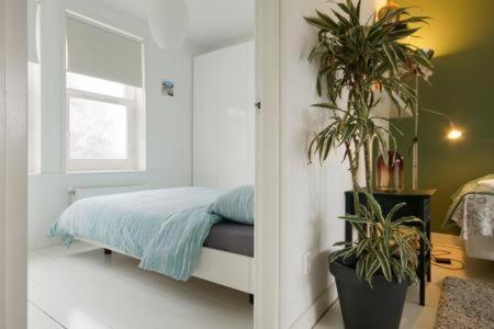 Adam & Eve - Bed & Breakfast
