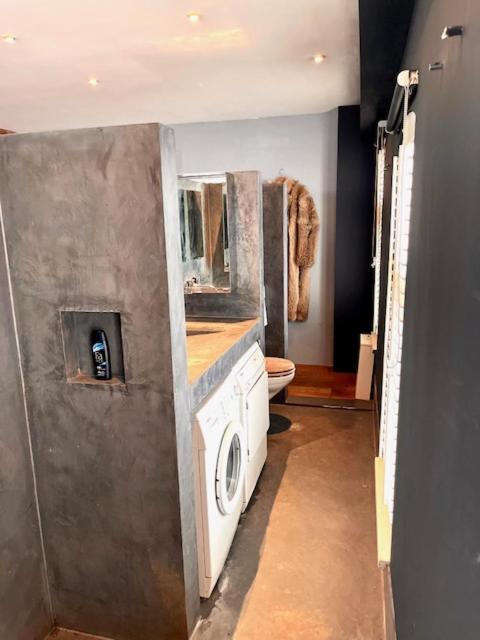 Elegant Penthouse Loft Of 250 M2 In Centre With Huge Roofgarden 80 M2 * Amsterdam