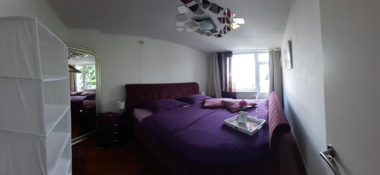 Sunny Guest house