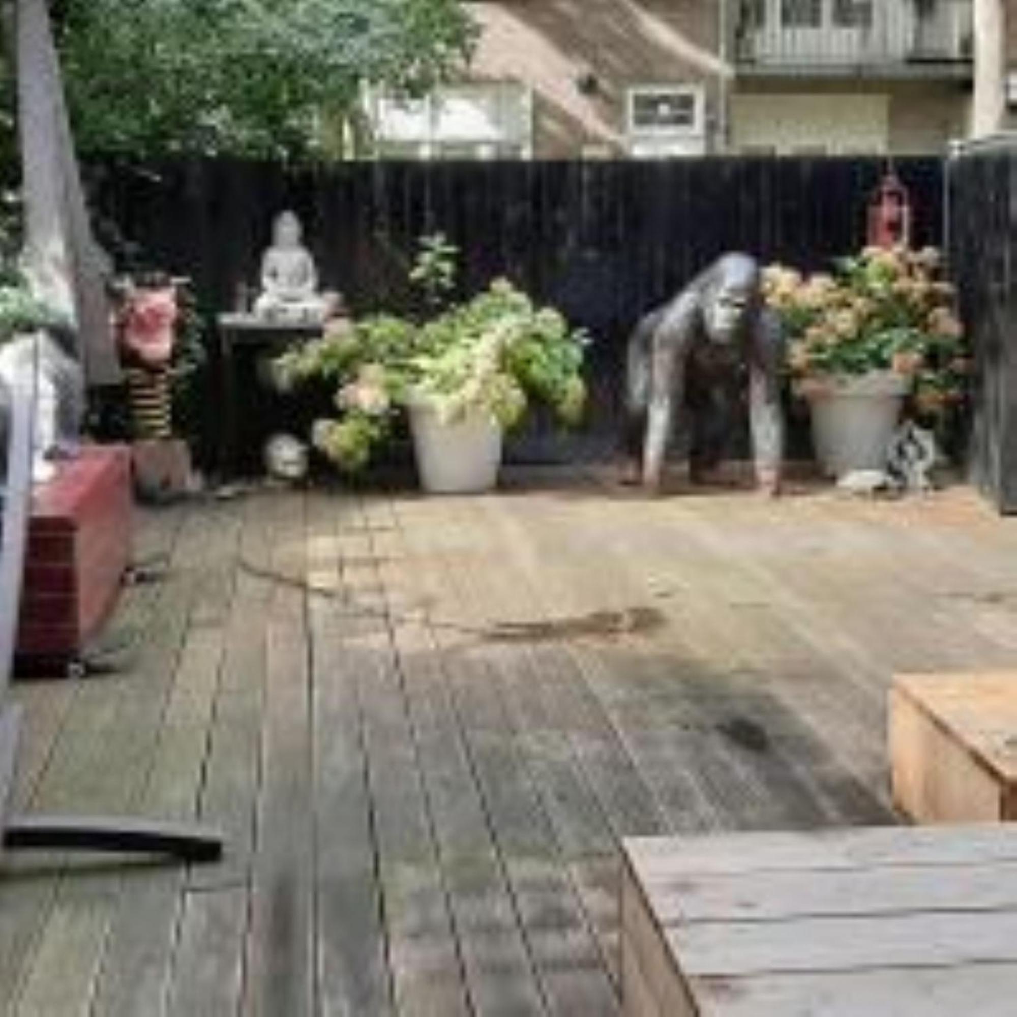 Beautiful&fresh Garden 4p Near Rai&center *