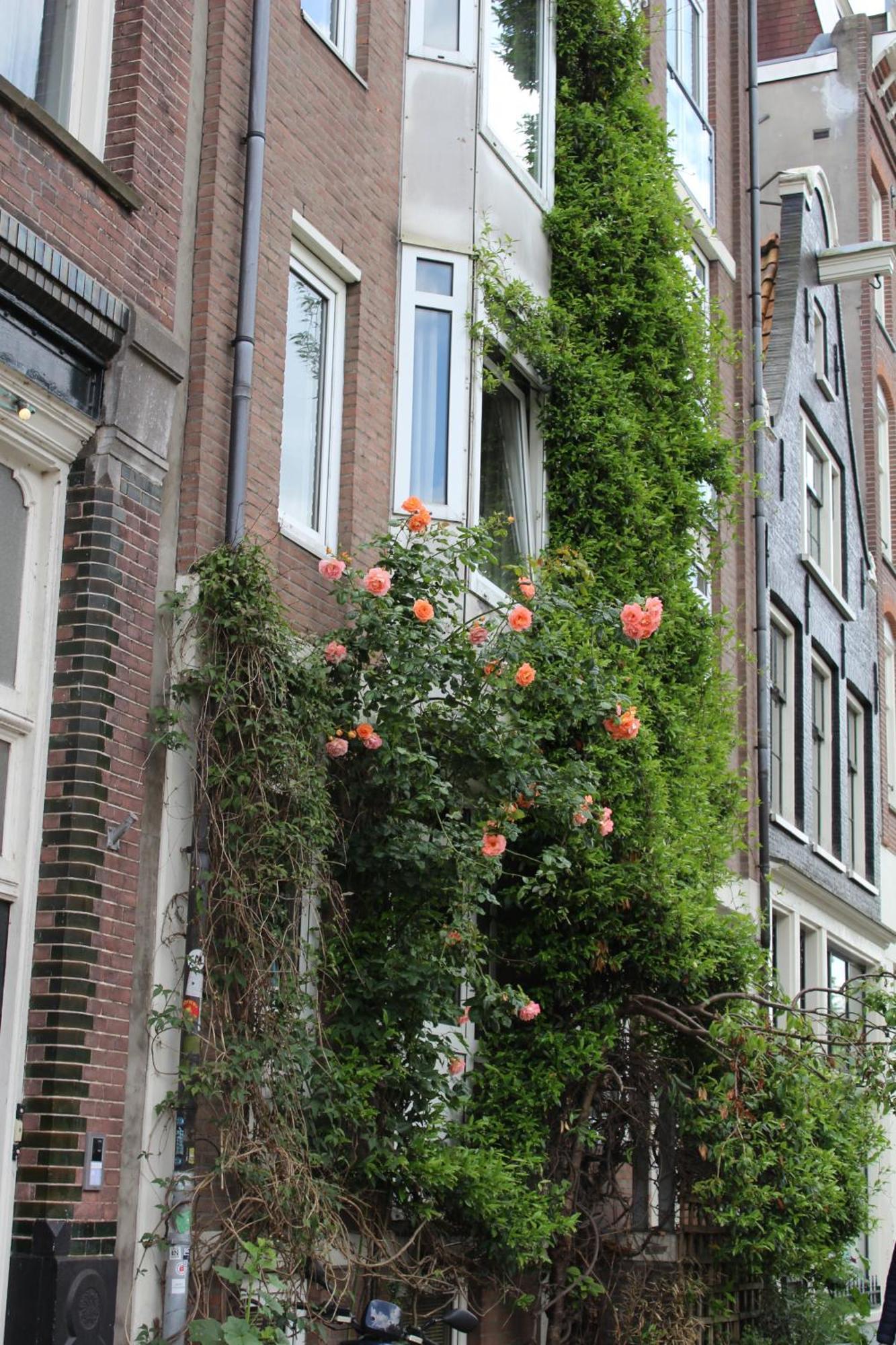 Studio Jordaan *