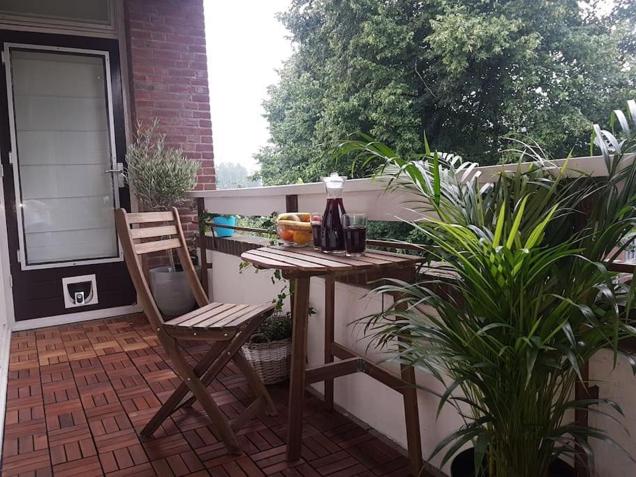 Apartment Entire In Amsterdam