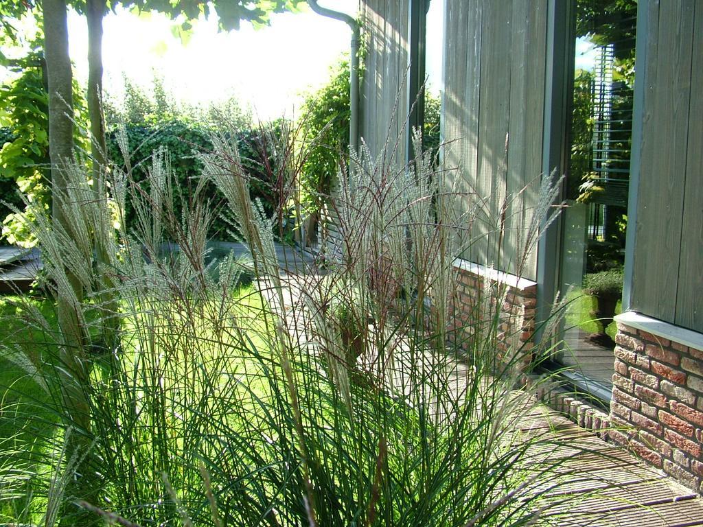 De Greenhouse Homestay *