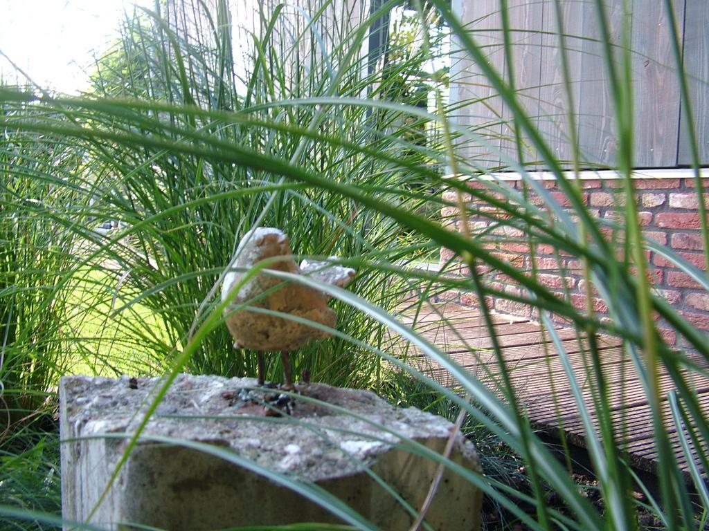 De Greenhouse Homestay Amsterdam