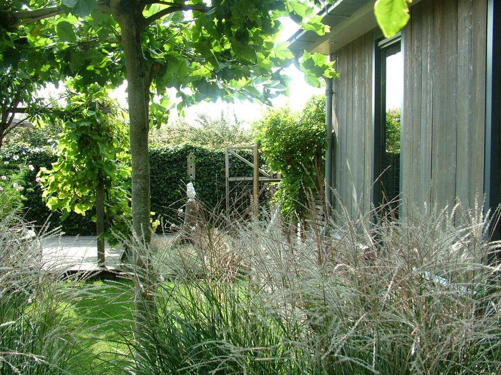 De Greenhouse Homestay *