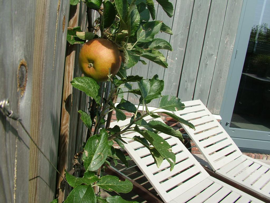De Greenhouse