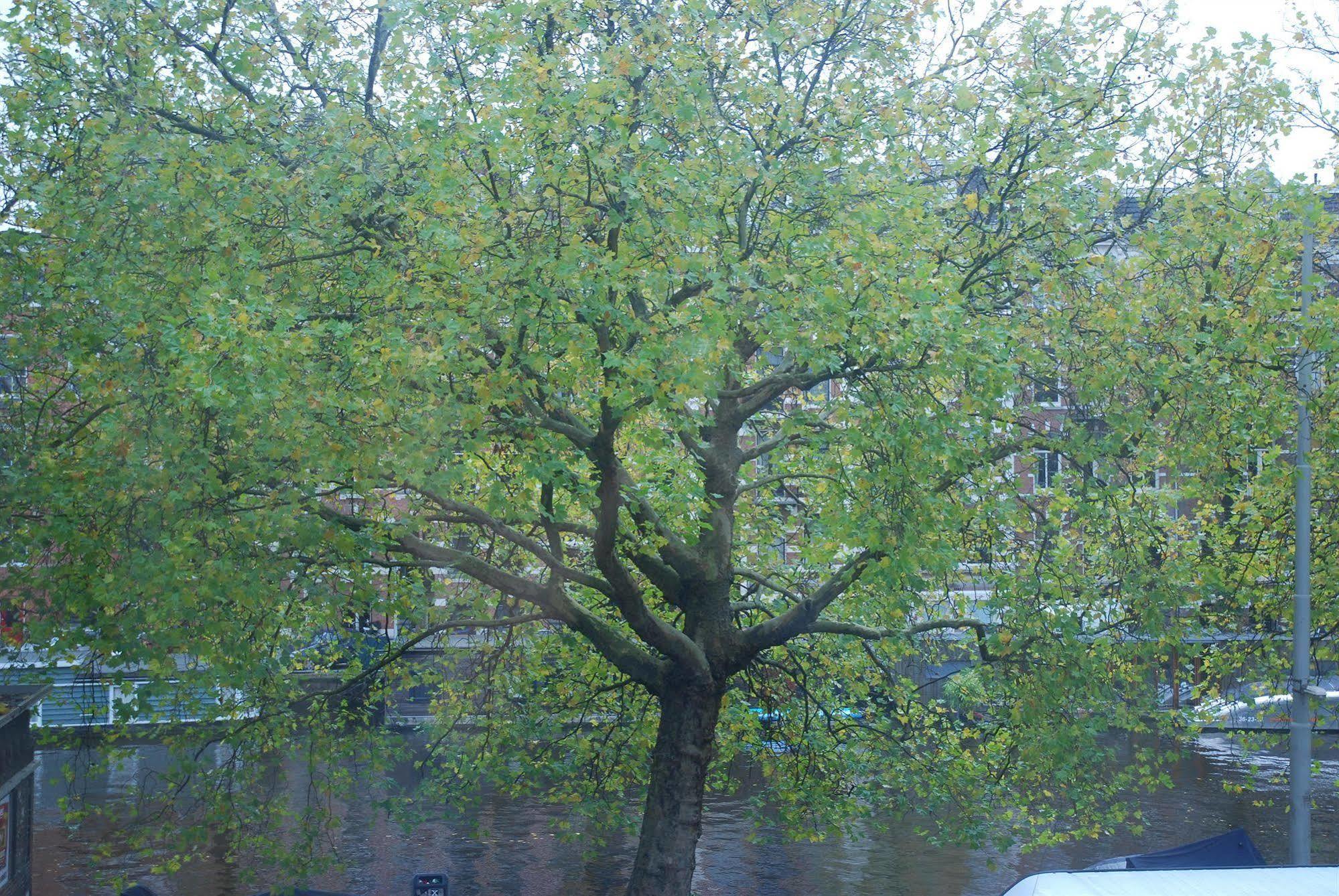 Hotel Nl District Leidseplein 3*
