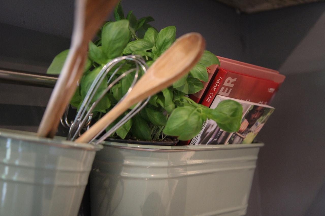 De Greenhouse Homestay Amsterdam