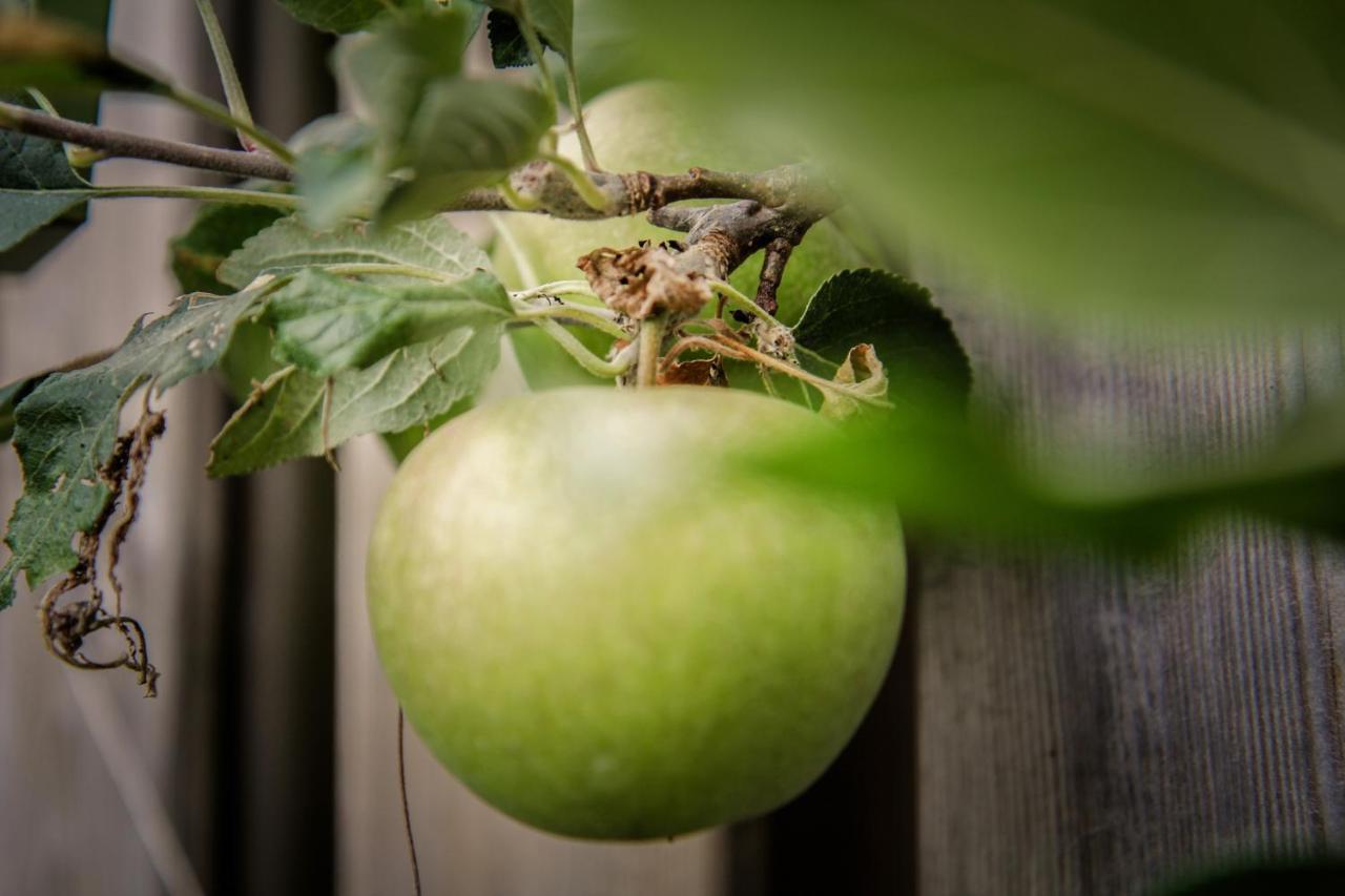 Homestay De Greenhouse