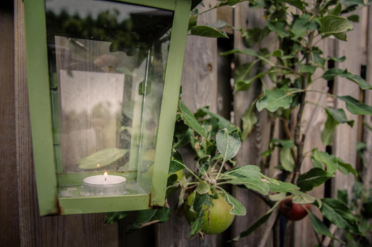 De Greenhouse Homestay